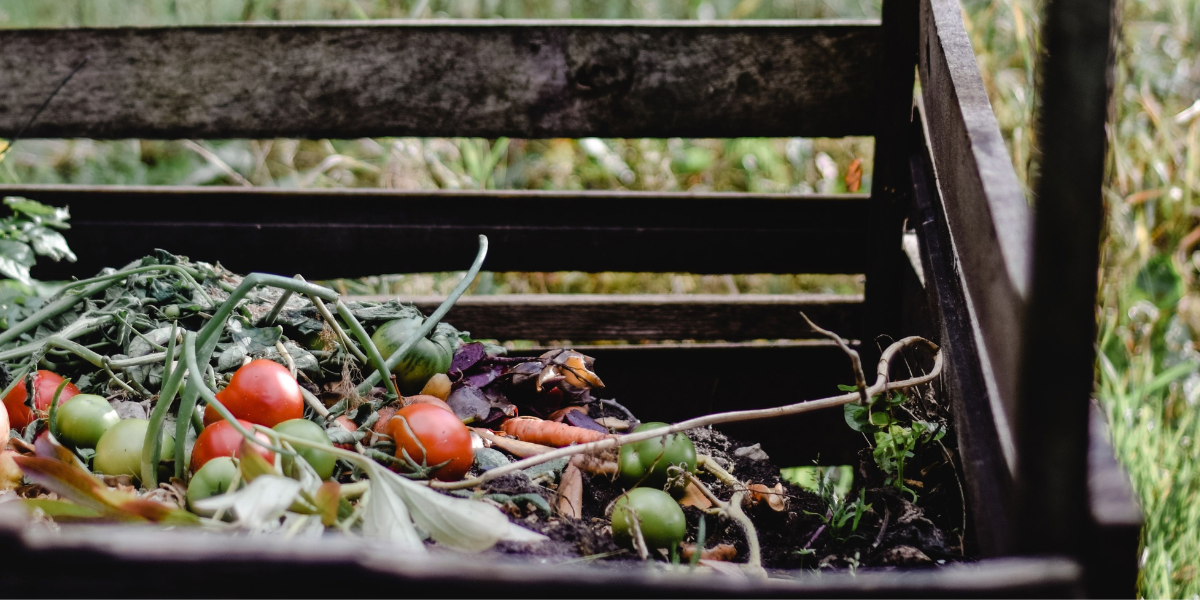 Compost bin